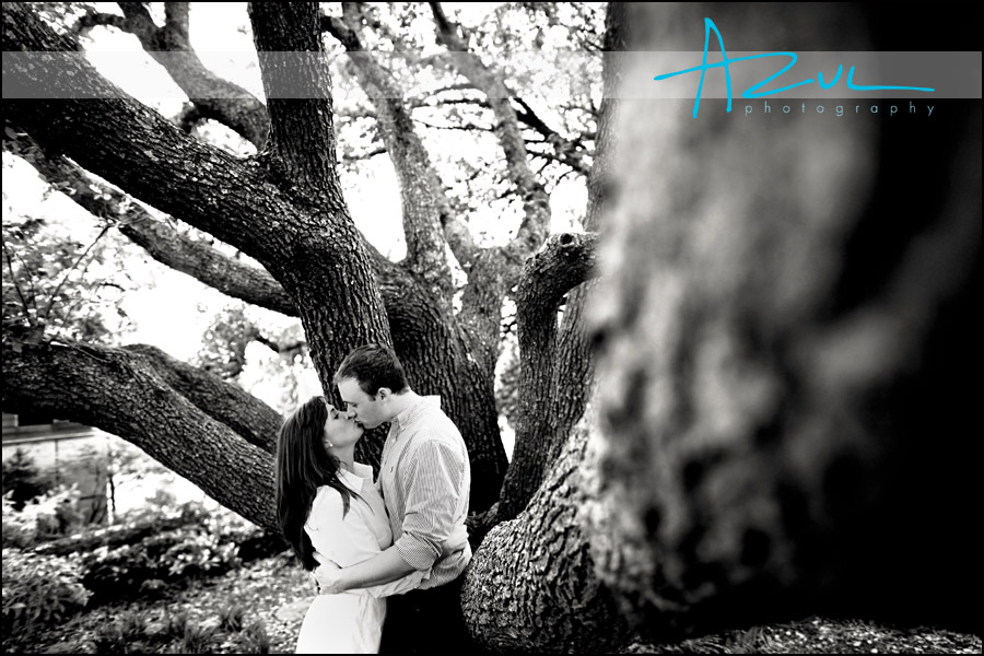 Couple kiss during engagement session.