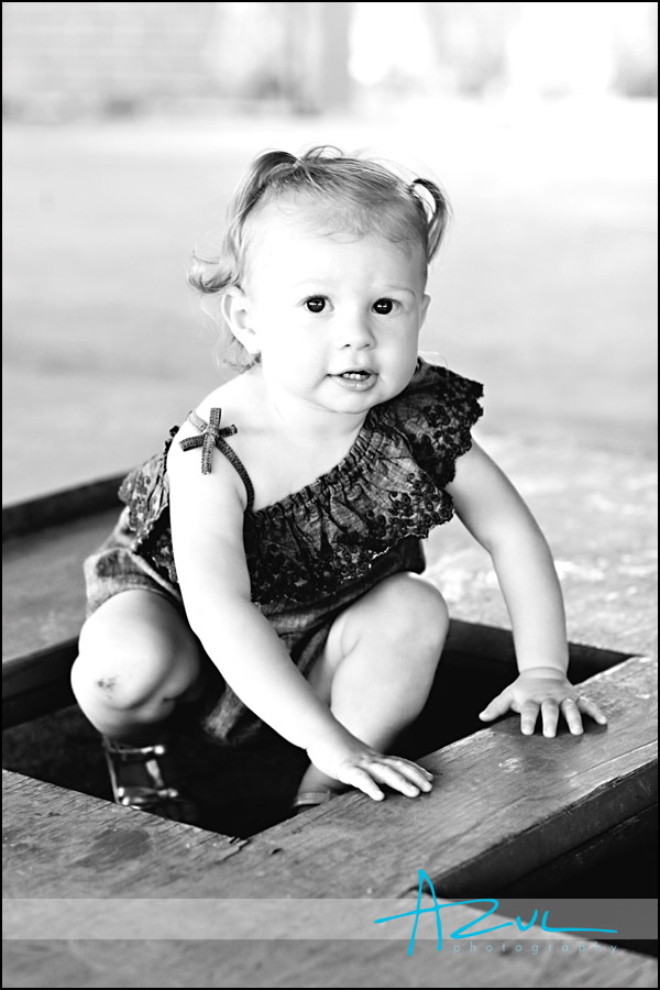 Baby Raleigh Portrait Photographer