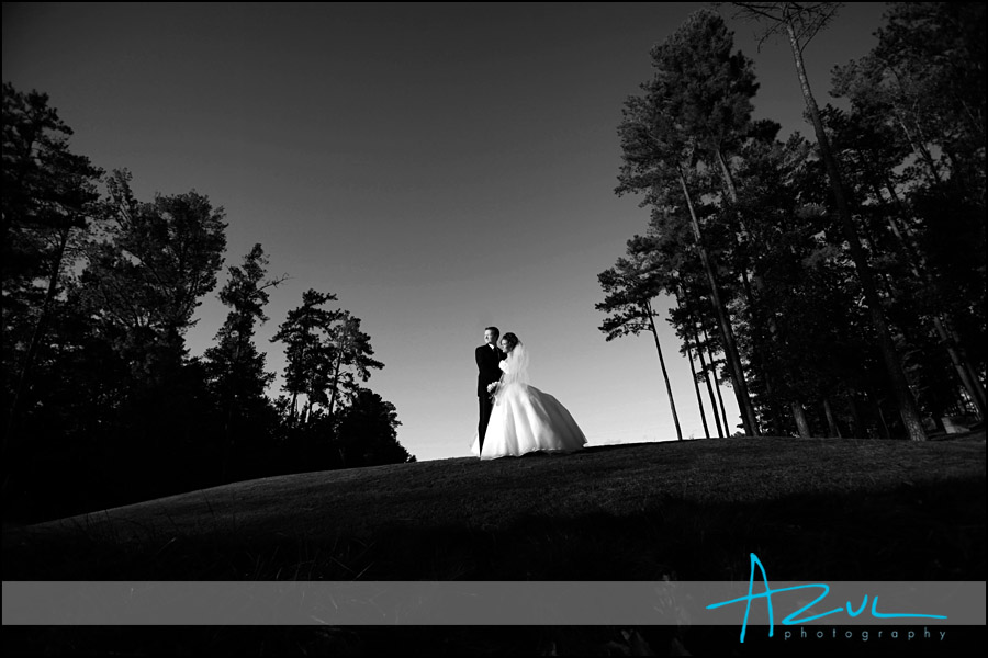 Portrait of the wedding couple before the reception in North Raleigh