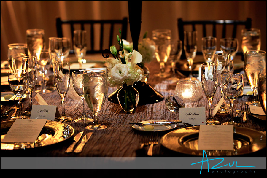 Classic party rentals Raleigh supplied the chargers and glassware
