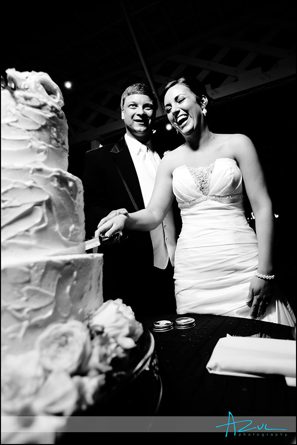 Raleigh wedding reception cake and venue