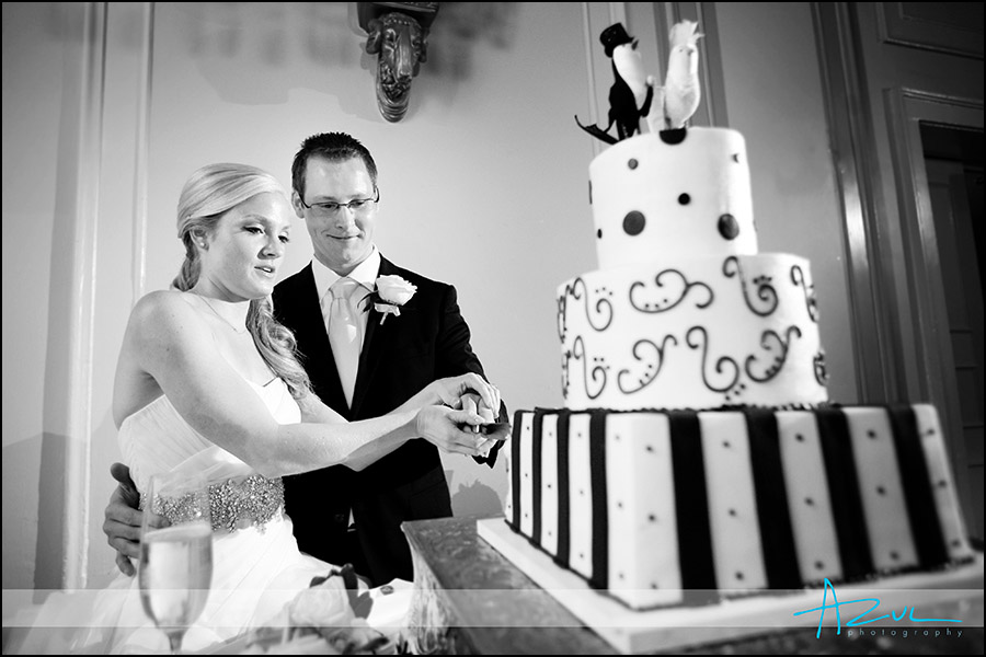 Raleigh wedding cake NC photograph