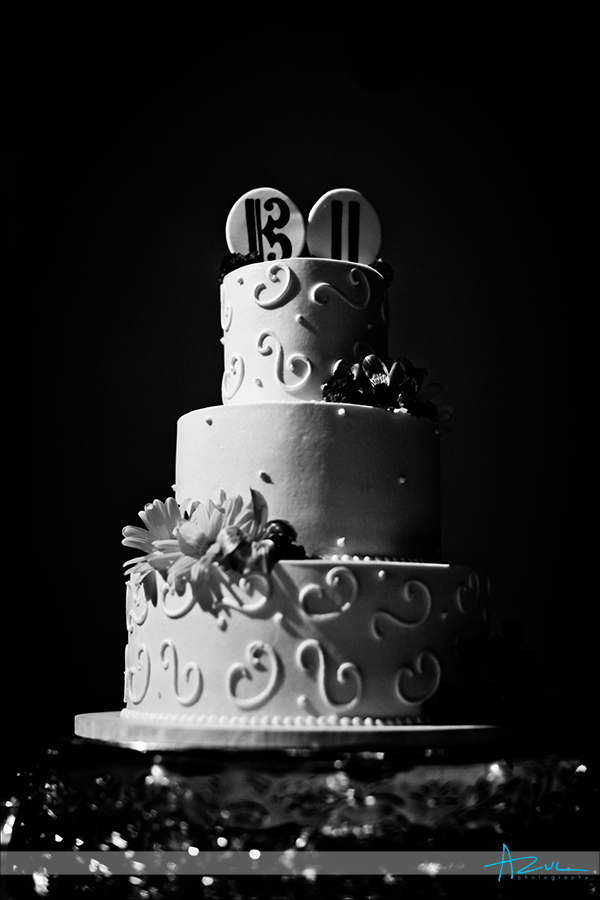 Wedding day amazing cake maker Raleigh NC
