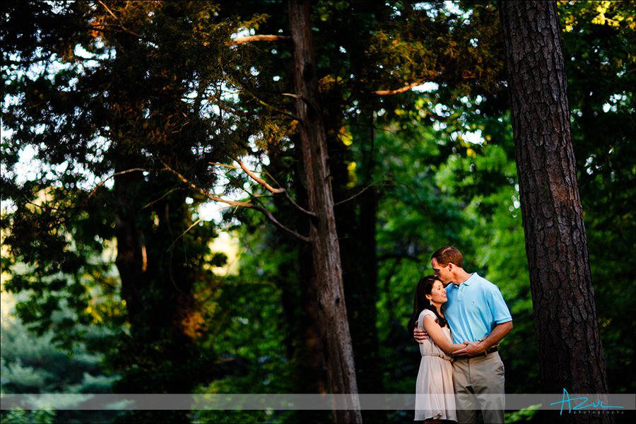 Raleigh engagement and wedding photographer