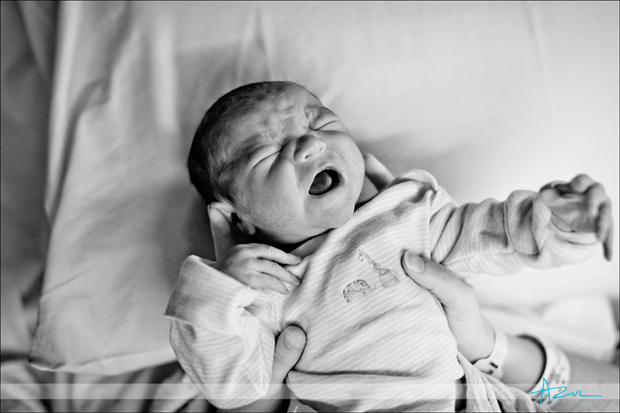 Baby newborn photographer Cary NC