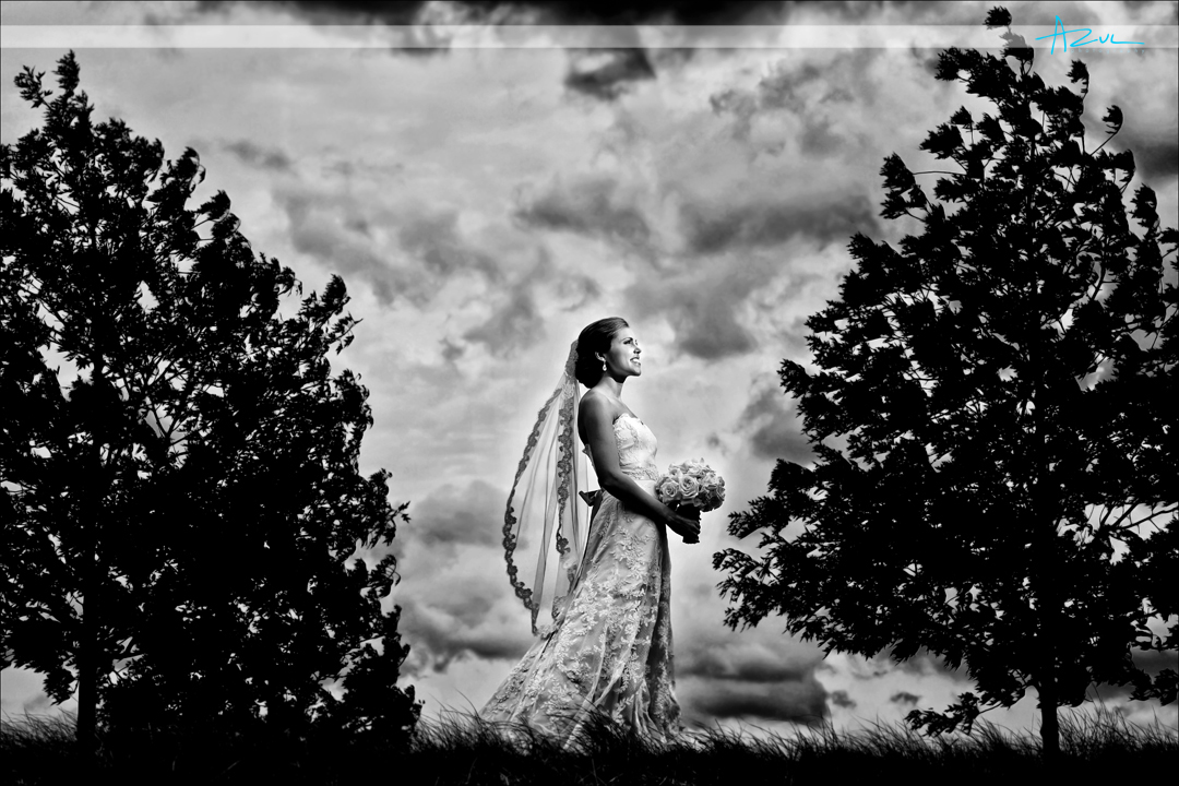 Unique wedding bridal portrait photography Raleigh NC