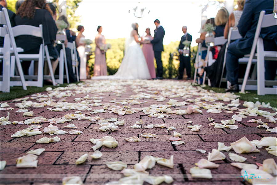 Wedding photographer uses a great detail shot of rose petals leading the viewer to the bride and groom in North Carolina.
