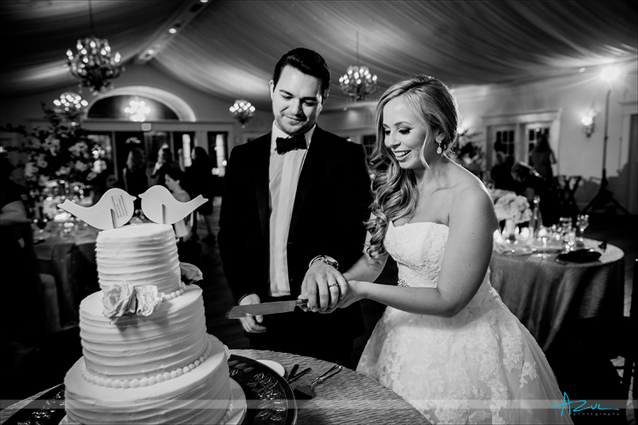 All wedding photographers get the "cutting the cake' image and this wedding at Highgrove Estate in NC was a must.