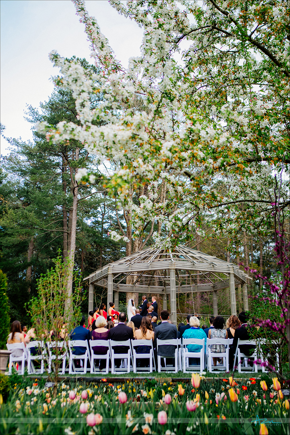 Beautiful wedding day flowers created by nature at Duke Gardens