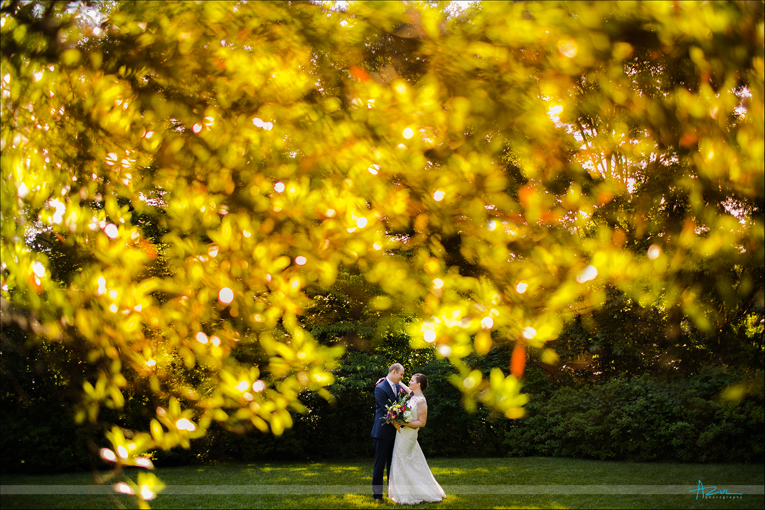 Wedding day bride and groom creative and unique photographer shoots through backlit leaves in Raleigh NC