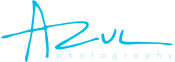 Azul Logo Color